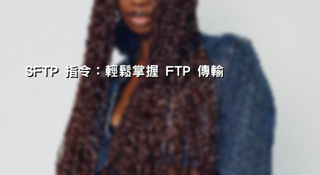 SFTP 指令：輕鬆掌握 FTP 傳輸