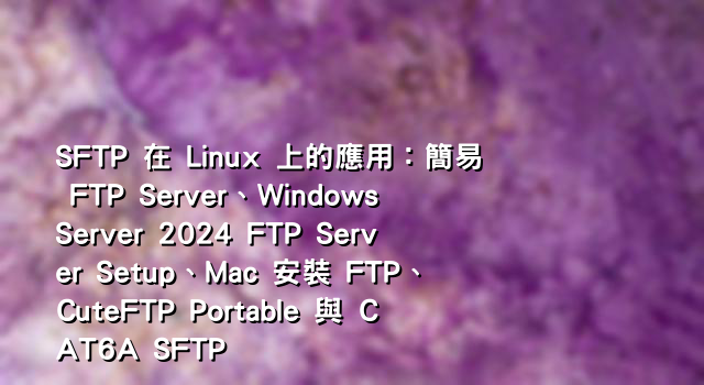 SFTP 在 Linux 上的應用：簡易 FTP Server、Windows Server 2024 FTP Server Setup、Mac 安裝 FTP、CuteFTP Portable 與 CAT6A SFTP