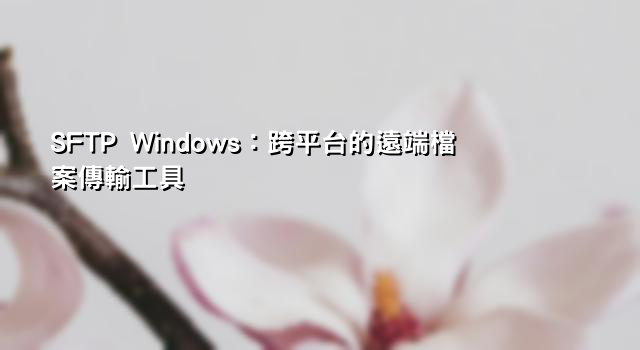 SFTP Windows：跨平台的遠端檔案傳輸工具