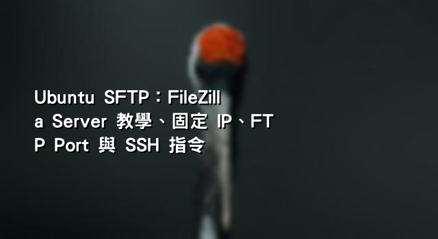 Ubuntu SFTP：FileZilla Server 教學、固定 IP、FTP Port 與 SSH 指令