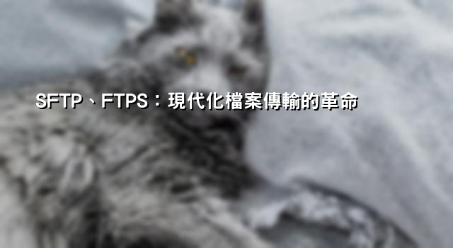 SFTP、FTPS：現代化檔案傳輸的革命