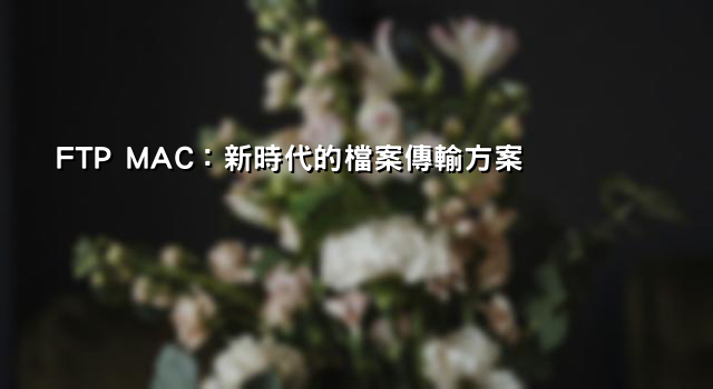 FTP MAC：新時代的檔案傳輸方案