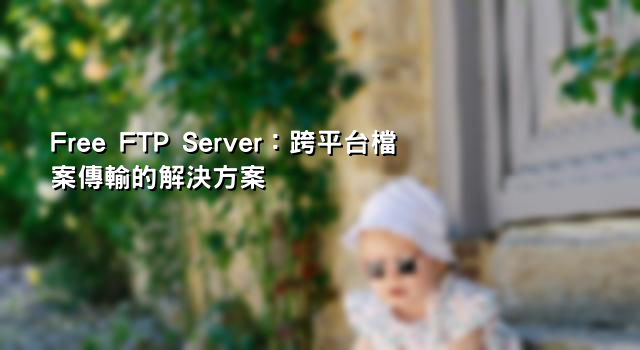 Free FTP Server：跨平台檔案傳輸的解決方案